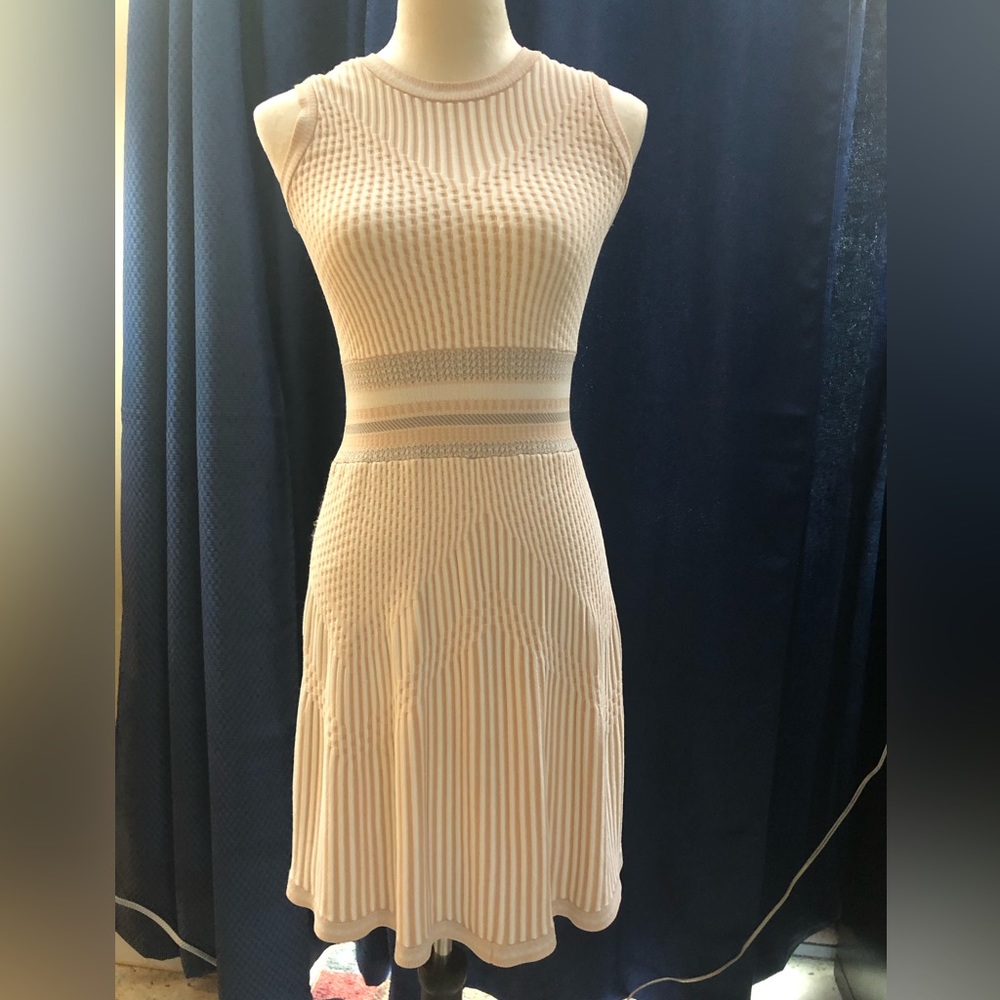 BCBG MaxAzria dress NWOT
